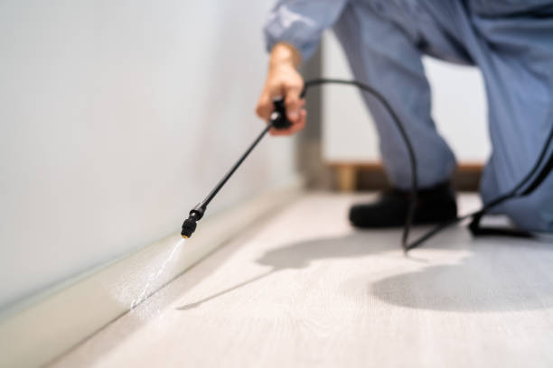 Licensed Fumigation Services service in Brilliant, OH - Nex Pest Control