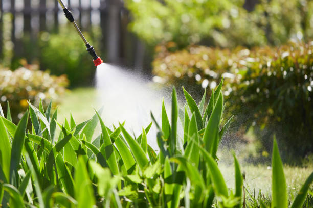 24/7 Emergency Fumigation Services experts in Brilliant, OH