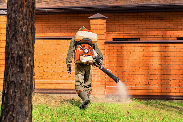 Trusted Cockroach Control service in Brilliant, OH - Nex Pest Control
